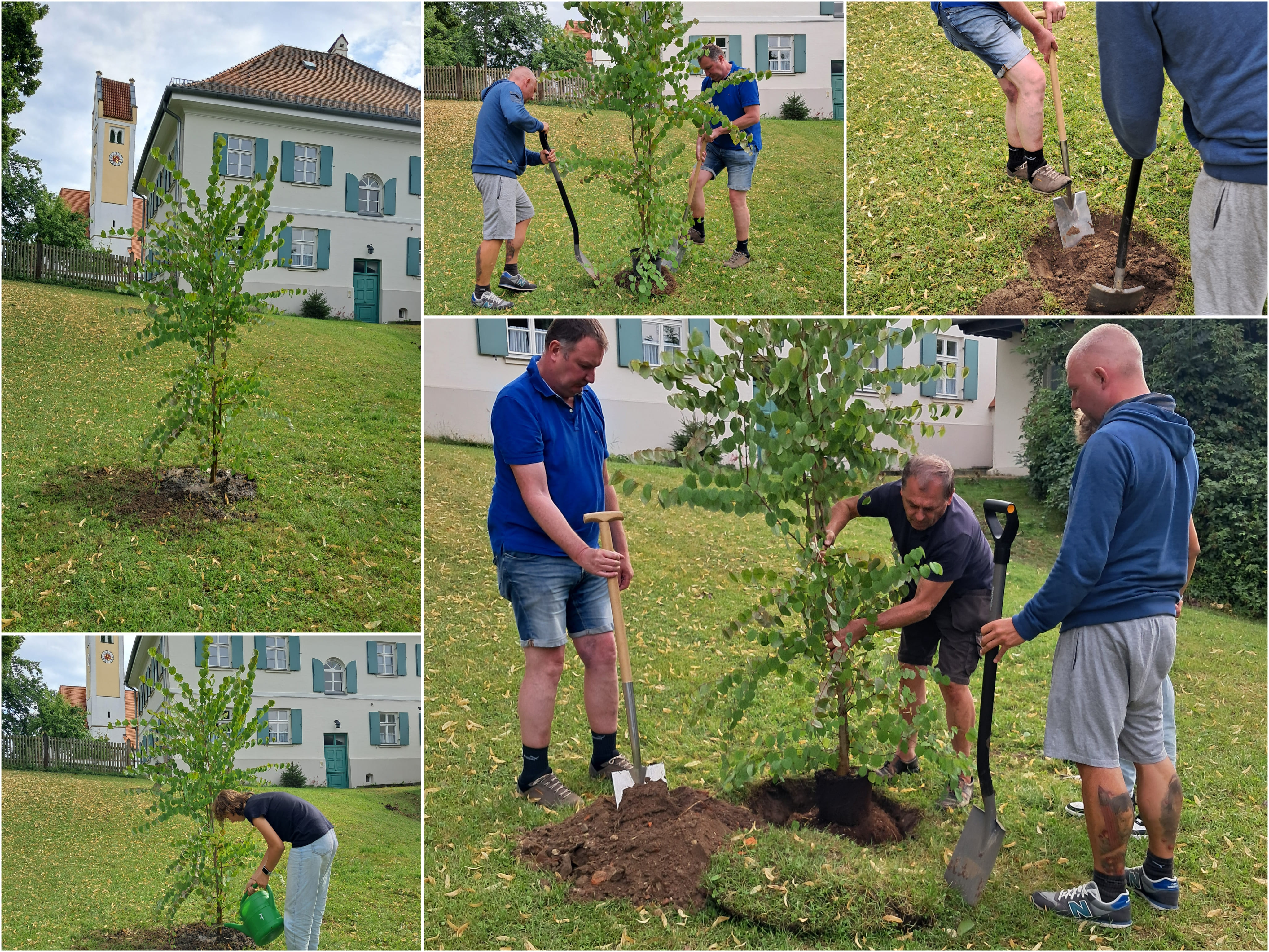 Baumpflanz Challenge
